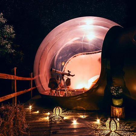 Maso La Marianna Bubble Glamping In Trentino Bed and Breakfast Sant'Orsola Εξωτερικό φωτογραφία