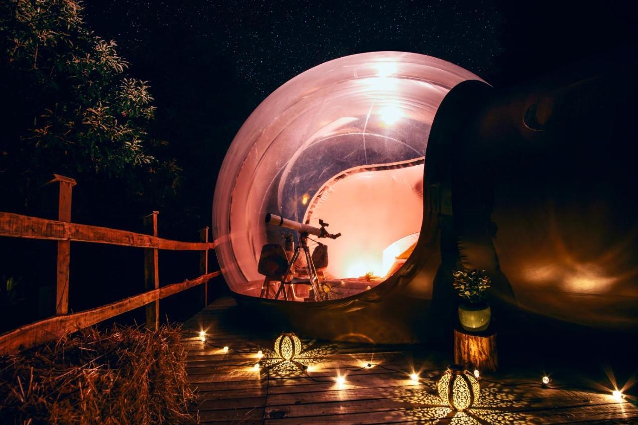 Maso La Marianna Bubble Glamping In Trentino Bed and Breakfast Sant'Orsola Εξωτερικό φωτογραφία